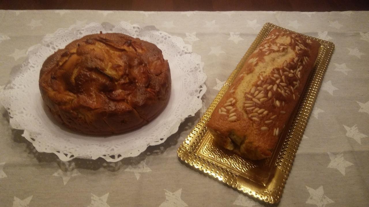 Hostal Sant Roc 博特阿瑞尔 外观 照片